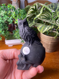 Obsidian Skull with Owl