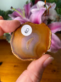 Iris Agate Slice