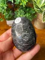 Firework Stone Palm Stone