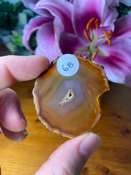 Iris Agate Slice