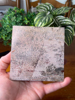 Picture Jasper Slice