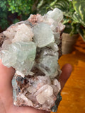 Green Apophyllite