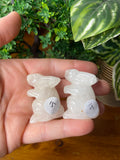 Crystal Rabbits