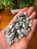 Larimar Chips