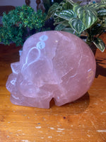 Rose Quartz Skull