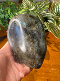 Labradorite Free Form