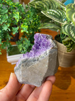 Amethyst Cluster