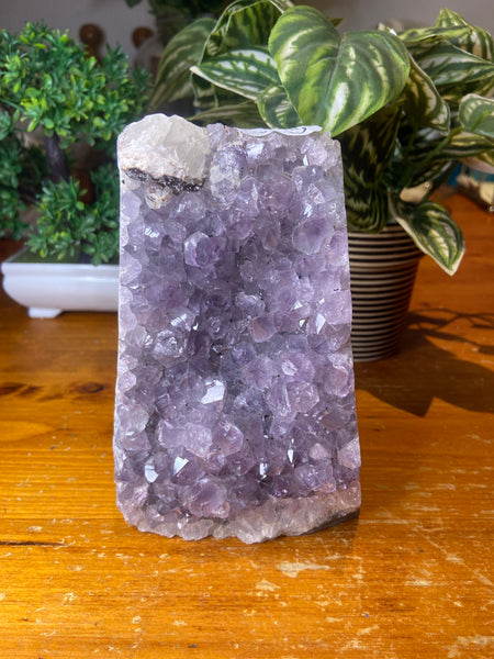 Amethyst Cluster