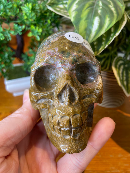 Ocean Jasper Skull