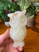 Banded Calcite Owl