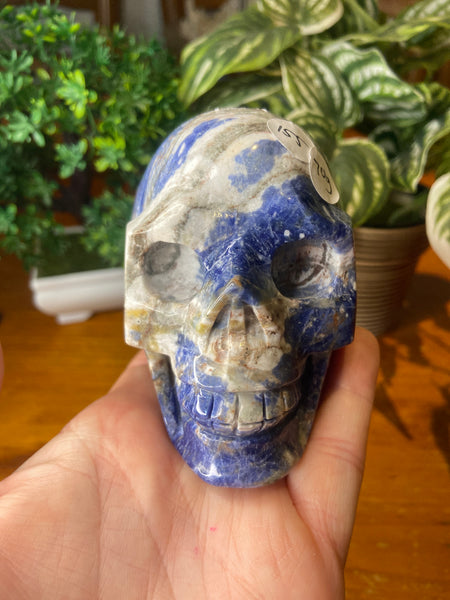 Sodalite Skull