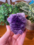 Amethyst Geode