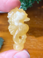 Seahorse Carvings