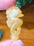Seahorse Carvings