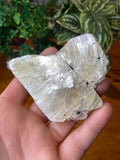 Golden Muscovite