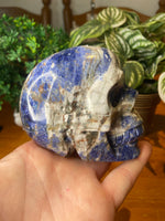 Sodalite Skull