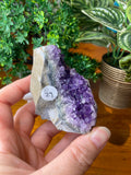 Amethyst Cluster