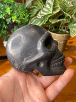 Shungite Skull