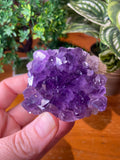 Amethyst Geode