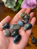 Moss Agate Tumbles