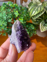 Amethyst Cluster