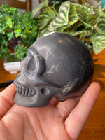 Shungite Skull