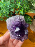 Amethyst Geode