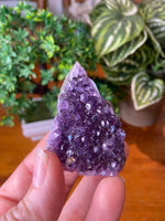 Amethyst Cluster